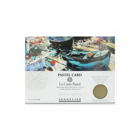 Pastel Card Pochette 6F 24 x 32 cm Monochrome Gris Clair