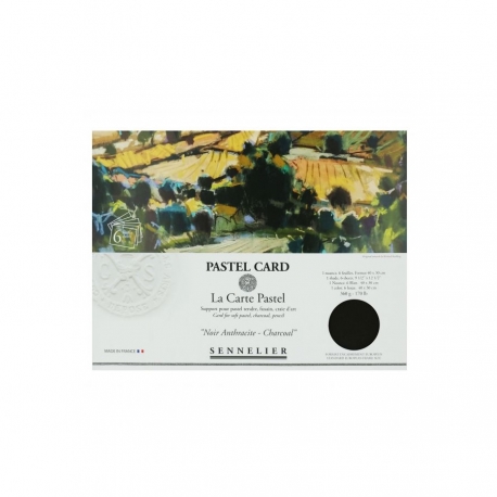 Pastel Card Pochette 6F 24 x 32 cm Monochrome Noir Anthracite